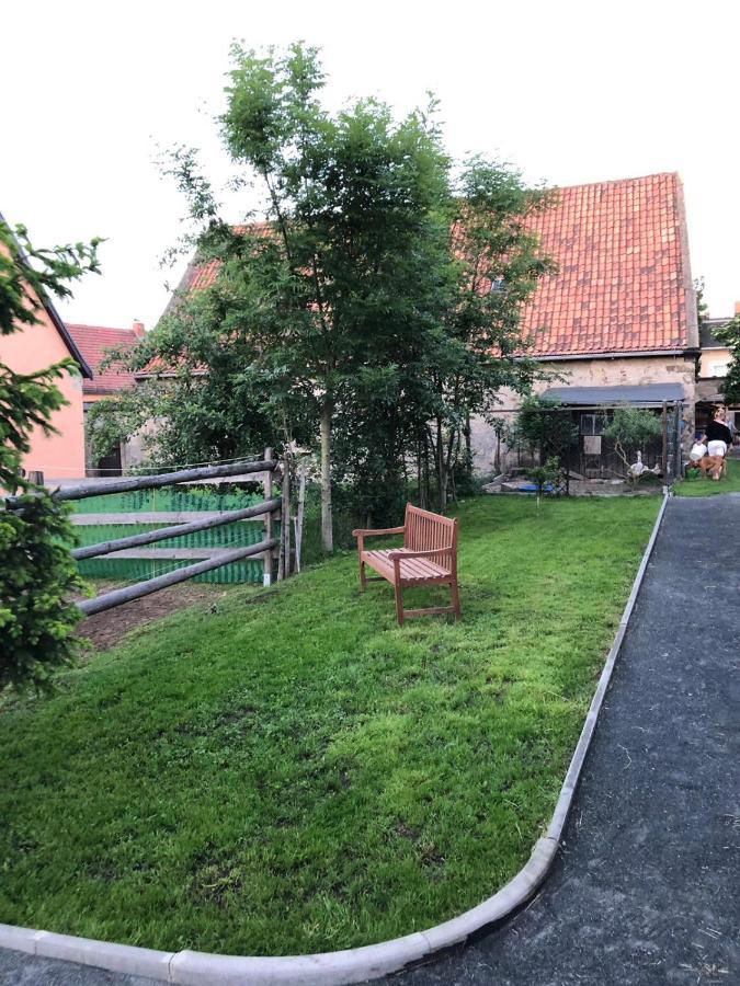 Ferienwohnung Gans Auguste Dohna Екстериор снимка