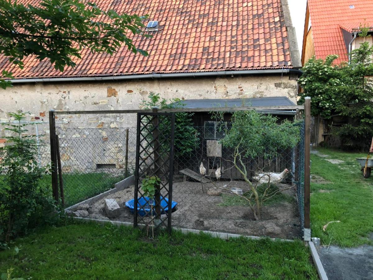 Ferienwohnung Gans Auguste Dohna Екстериор снимка